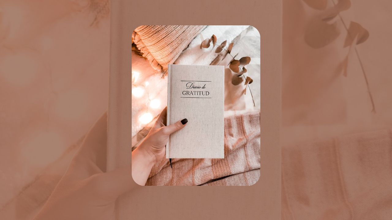 caderno de gratidão